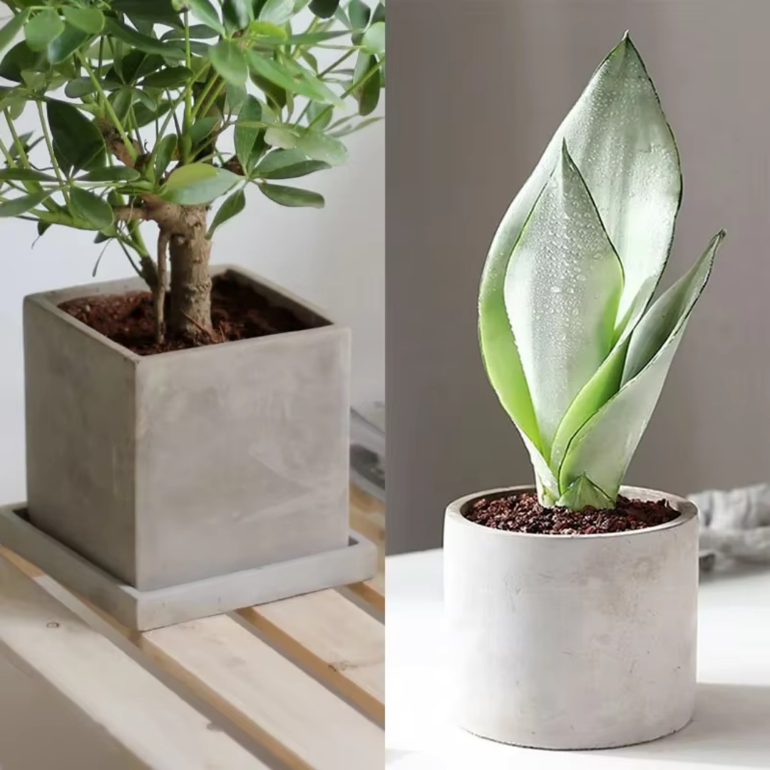 Форма силиконовая для бетонных – обзор и цена Echeveria Succulent