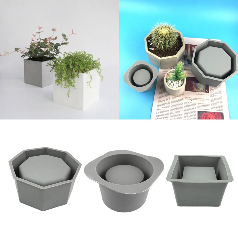 Цветочный горшок ручной работы – обзор и цена Echeveria Succulent