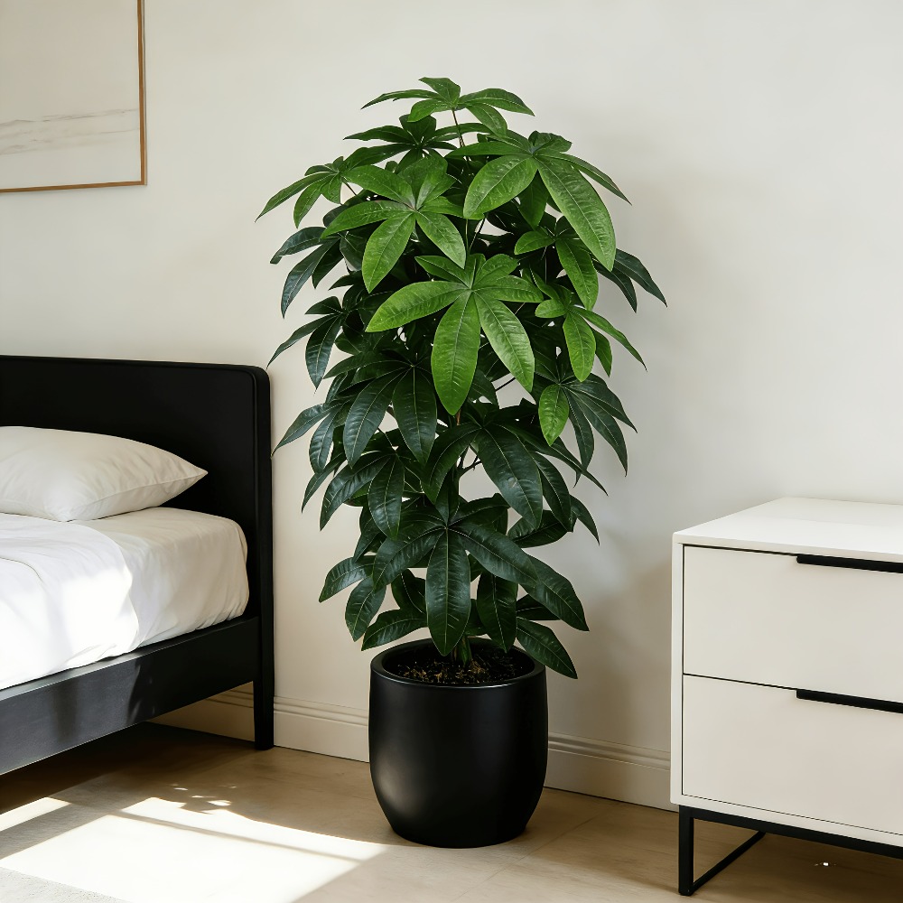 Искусственное денежное дерево  – обзор и цена Ficus Lyrata Tree