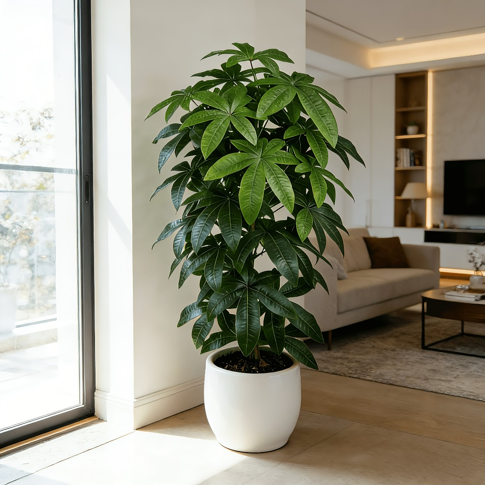 Искусственное денежное дерево  – обзор и цена Ficus Lyrata Tree